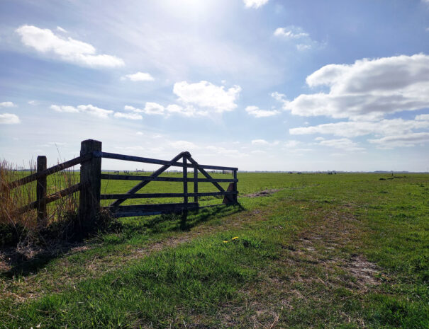 hek-wei-polder