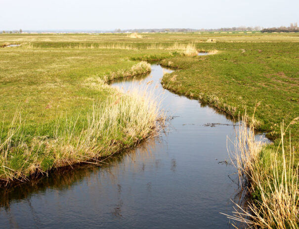 meanderende_sloot_polder_arkemheen